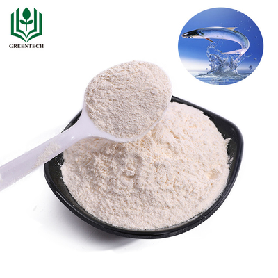 Shark Cartilage Shark Chondroitin Powder Sulfate Sodium For Bone Health