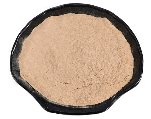 Natural White Willow Bark Extract Powder 80 Mesh For Dietary Supplement